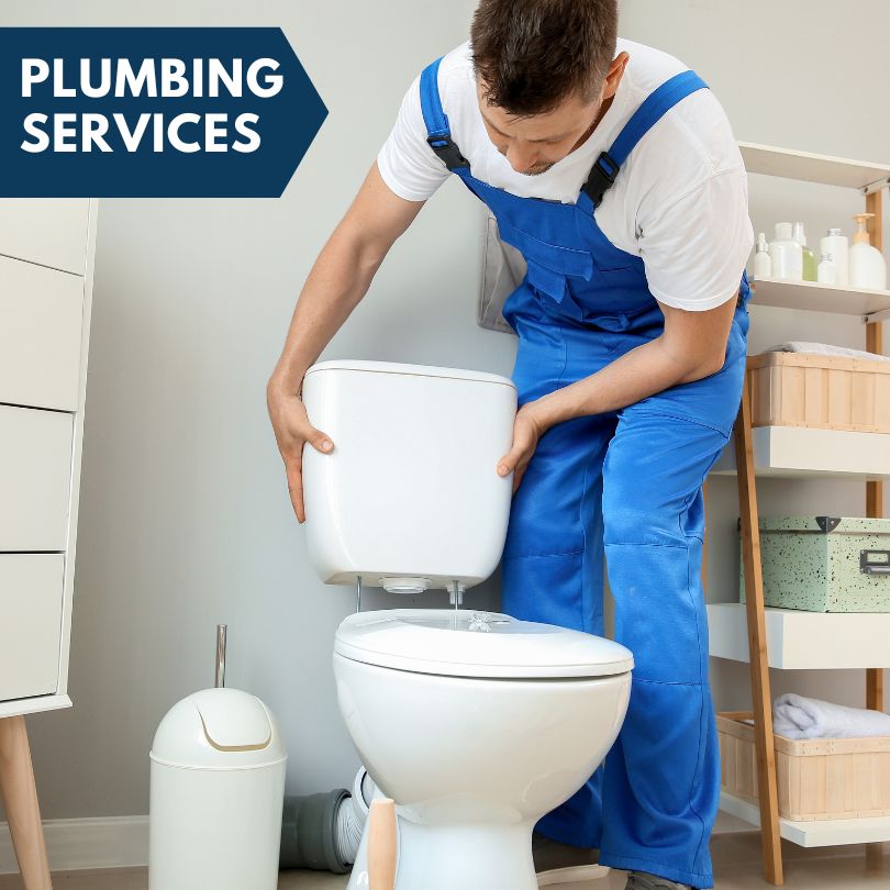 Plumbing Company in Centreville, MD